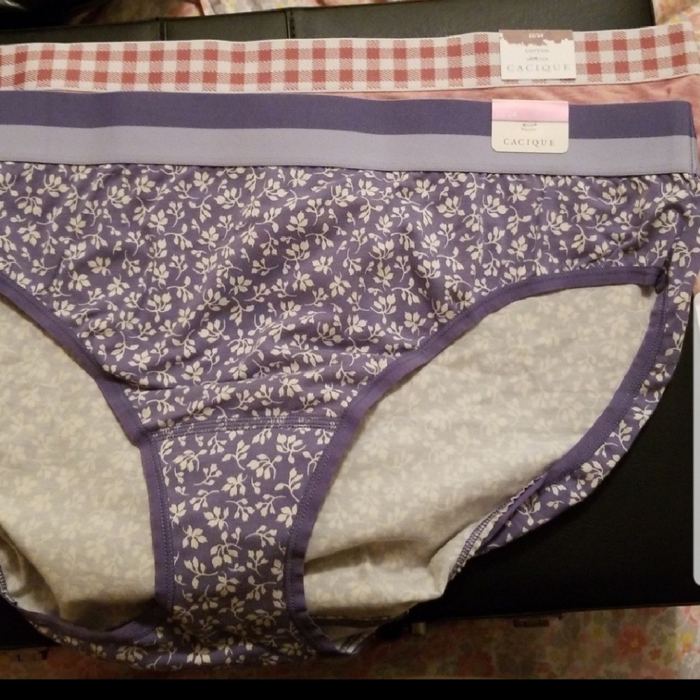 Lane Bryant Hipster undies